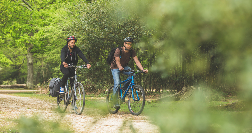 Two people cycling through the New Forest.
