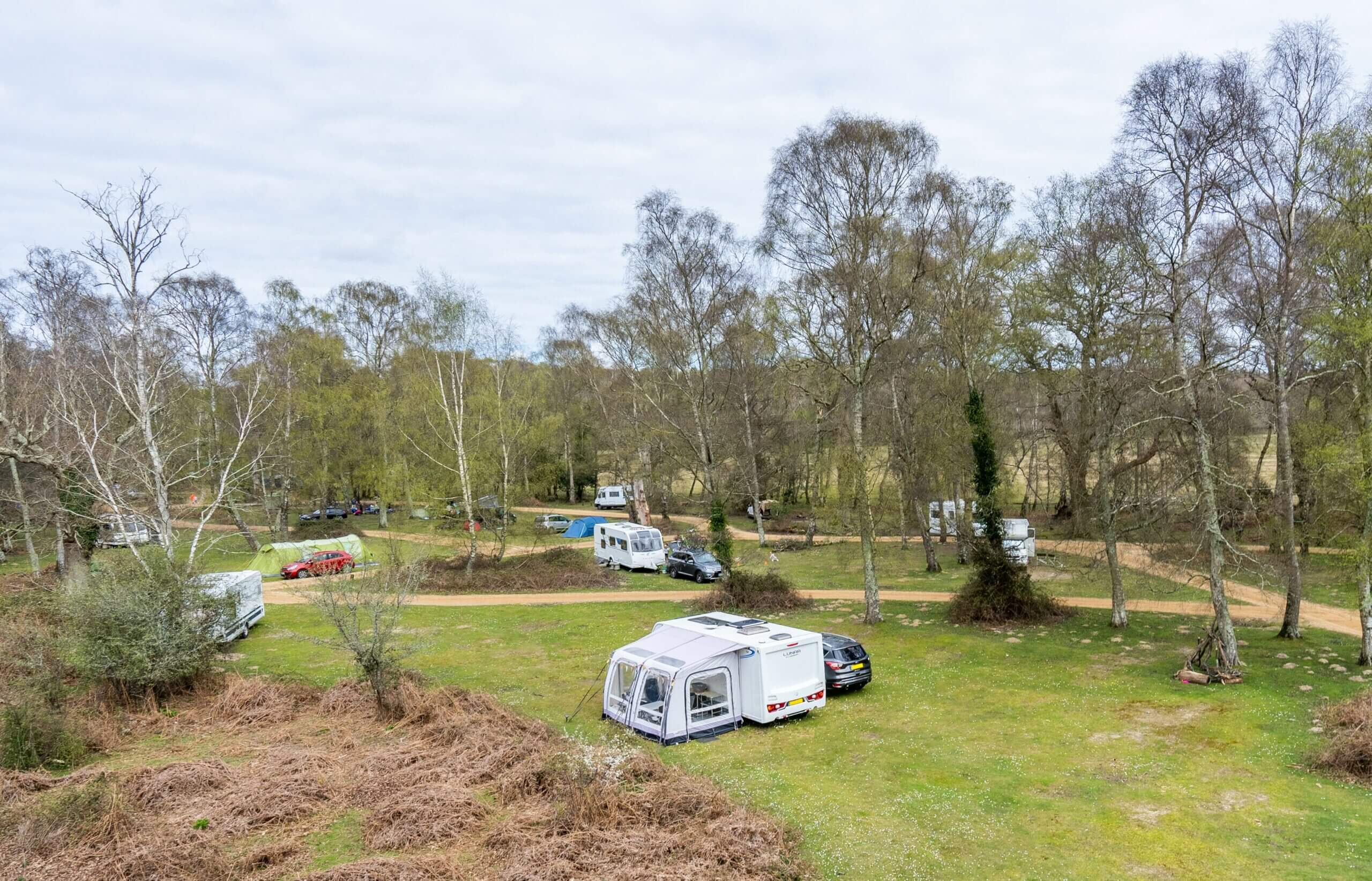 hollands-wood-campsite-camping-in-the-new-forest