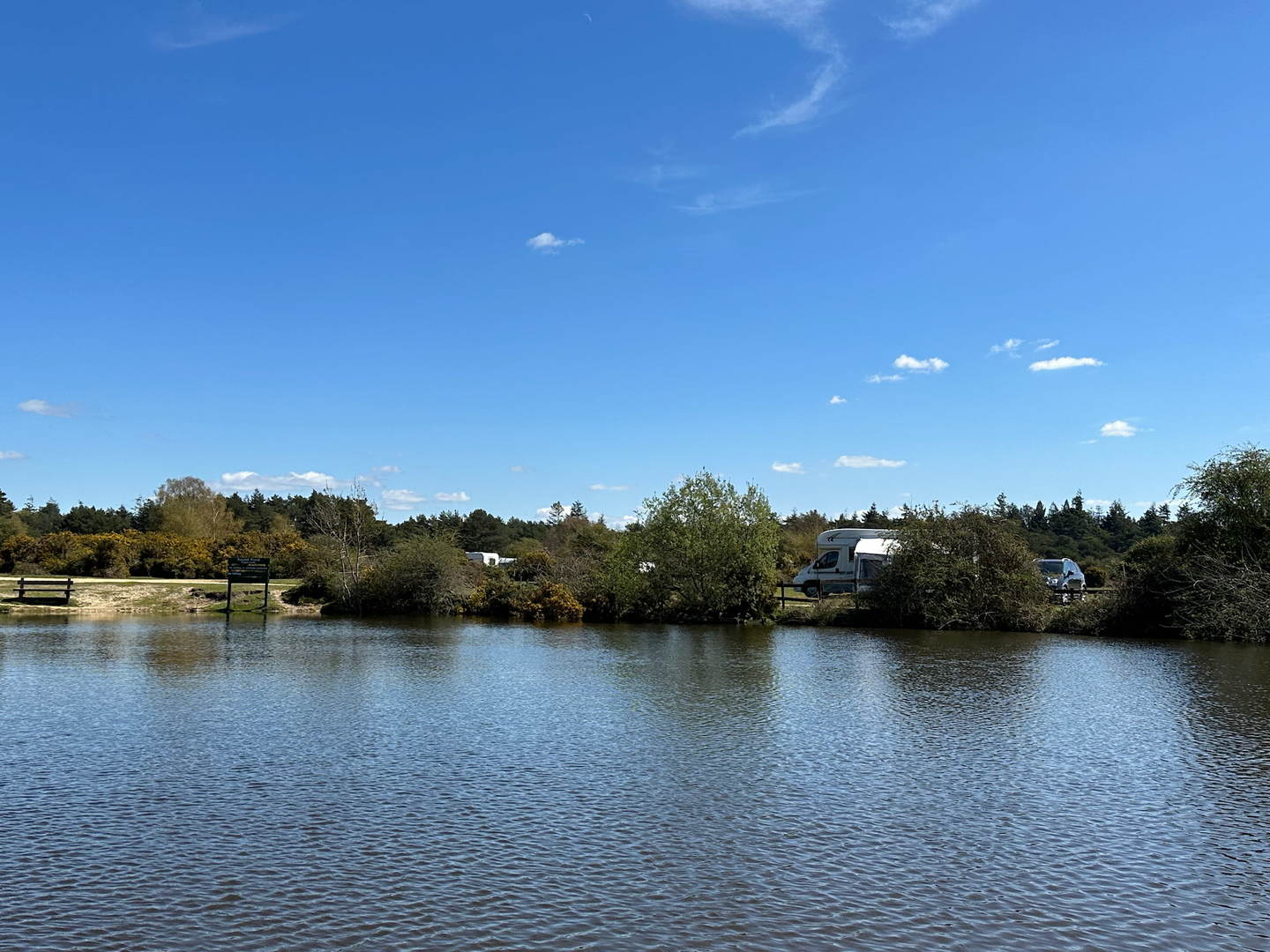 A photo of the lake at Roundhill Campsite, in The New Forest.