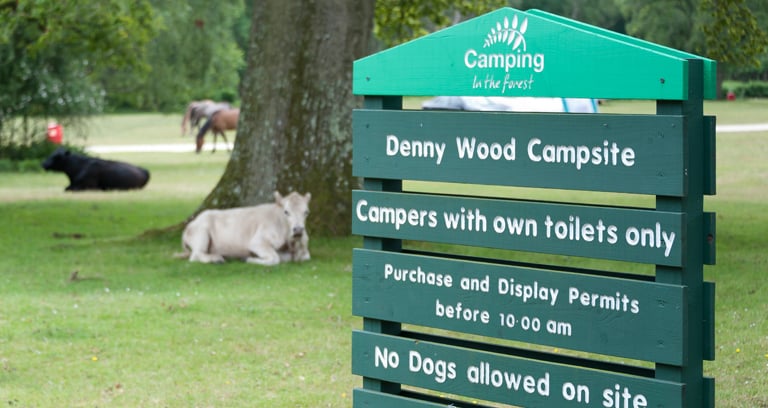 Denny Wood campsite entrance sign in the New Forest.