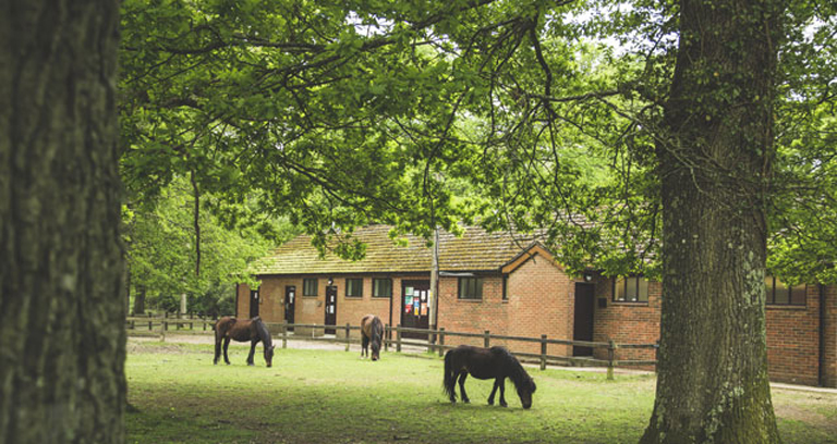 Hollands Wood campsite centre building in the New Forest.