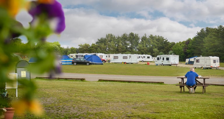 Holmsley campsite in the New Forest.