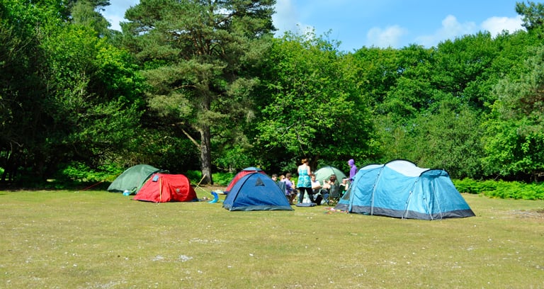 Longbeech campsite in the New Forest.