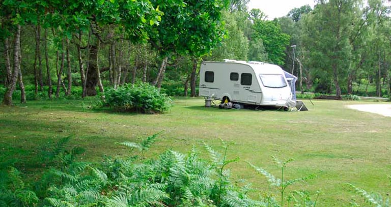Matley Wood campsite in the New Forest.
