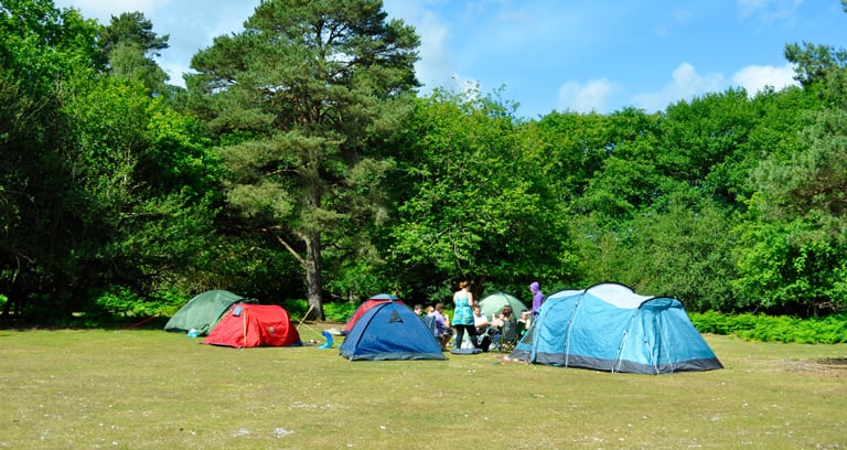 Ocknell campsite in the New Forest.