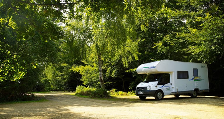 Setthorns campsite in the New Forest.