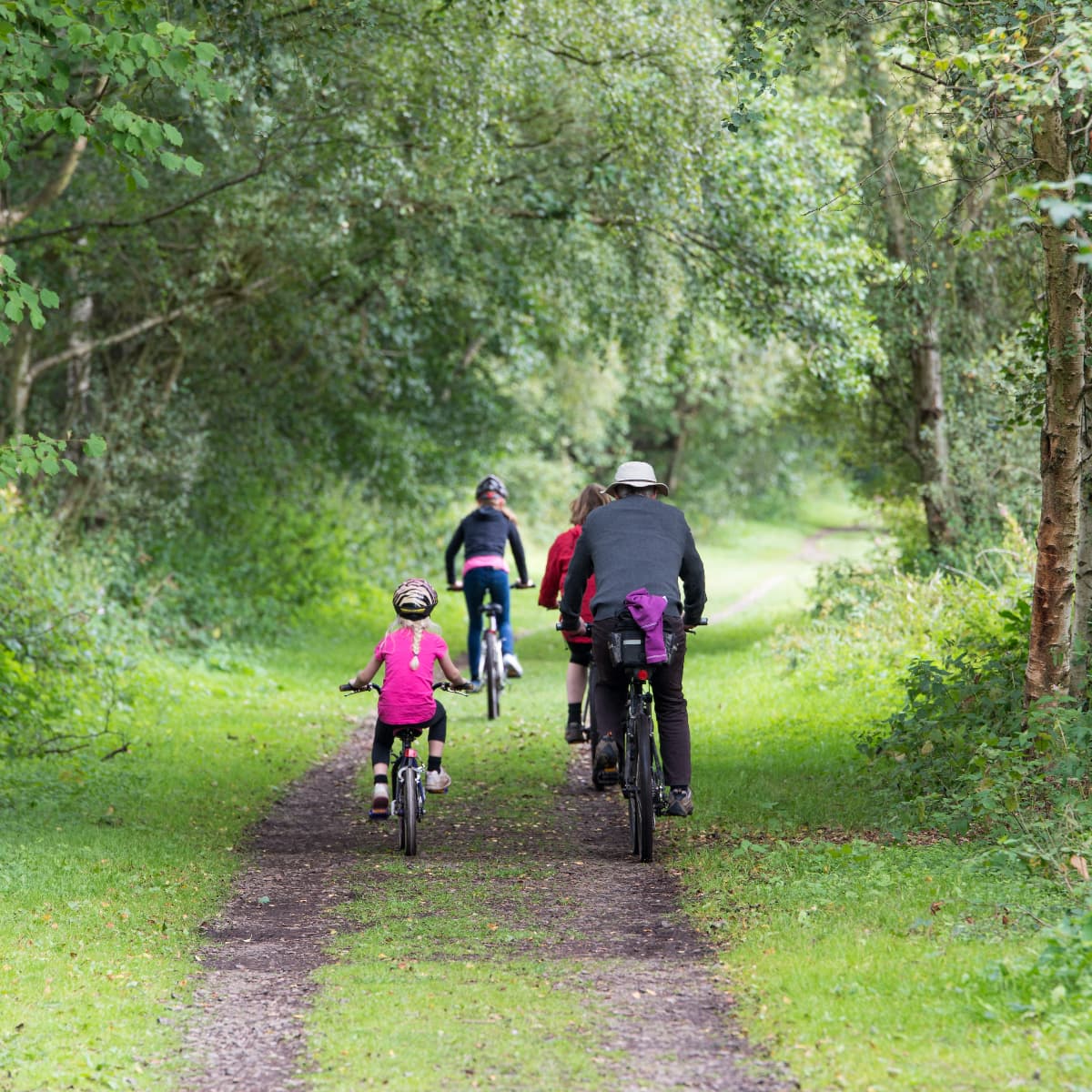 Top 5 New Forest Cycling Routes: Sightsee at your own pace!
