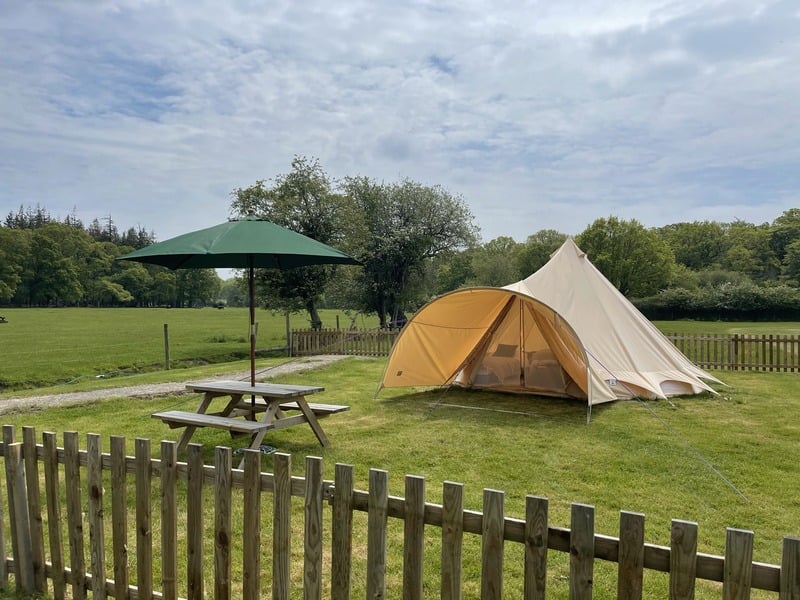 Glamping in the New Forest Camping in the New Forest