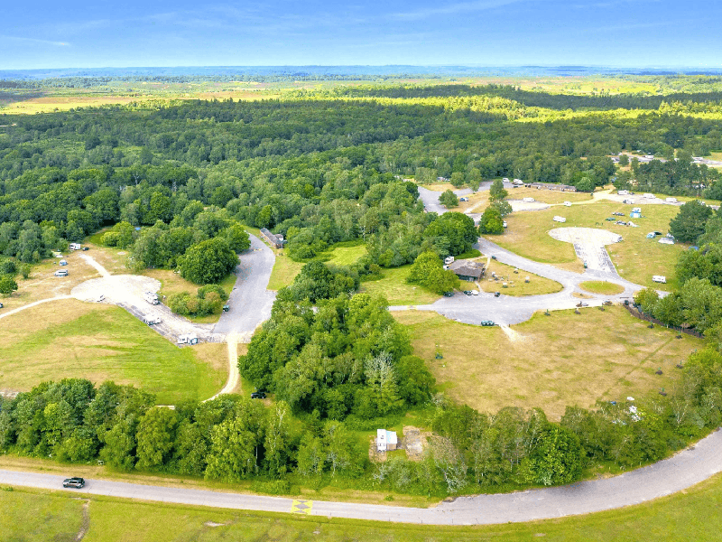 Rally Fields - Camping in the New Forest