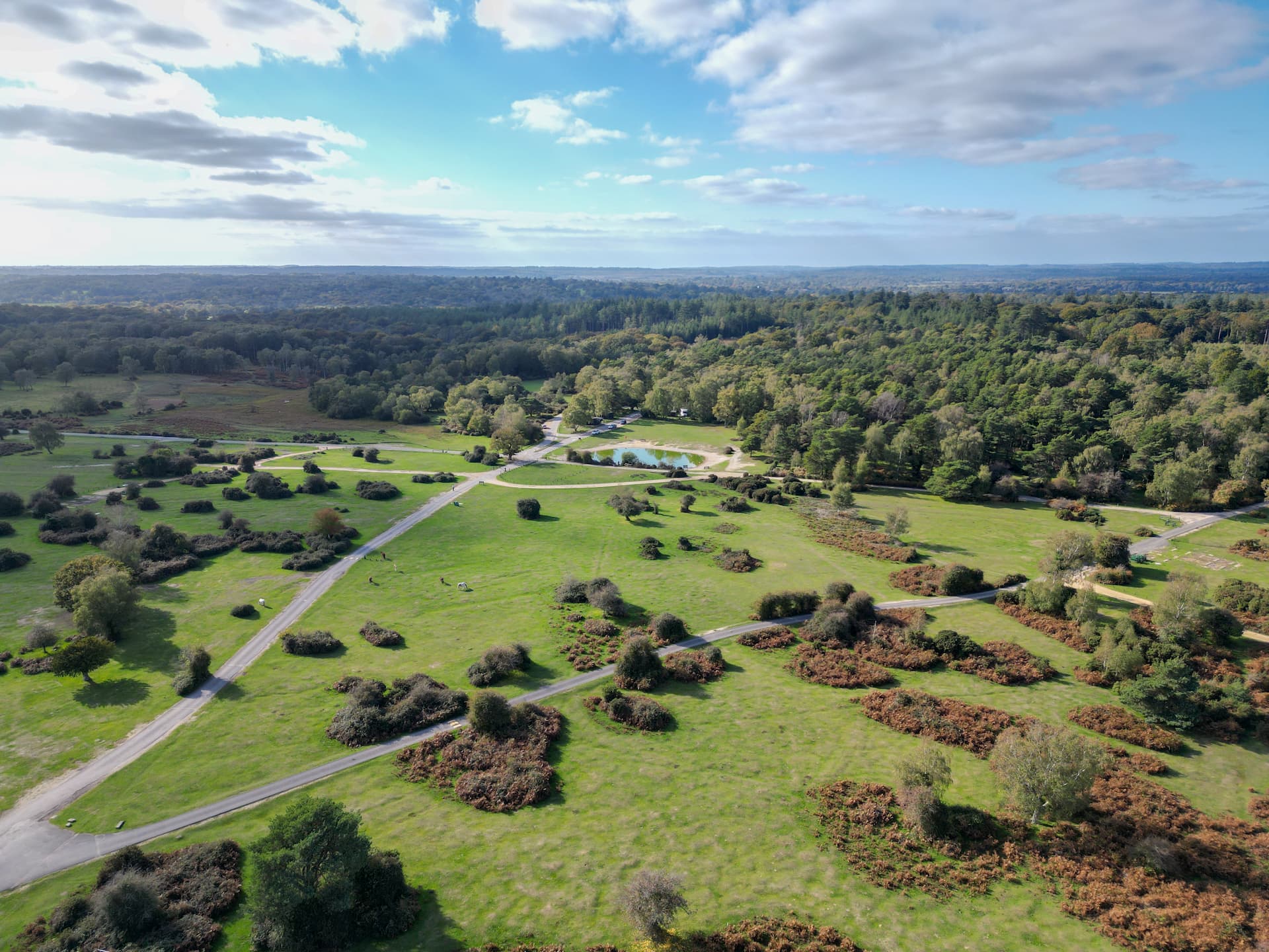 Roundhill Campsite Camping in the New Forest