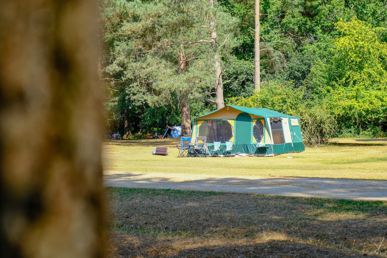 Roundhill Campsite Camping in the New Forest