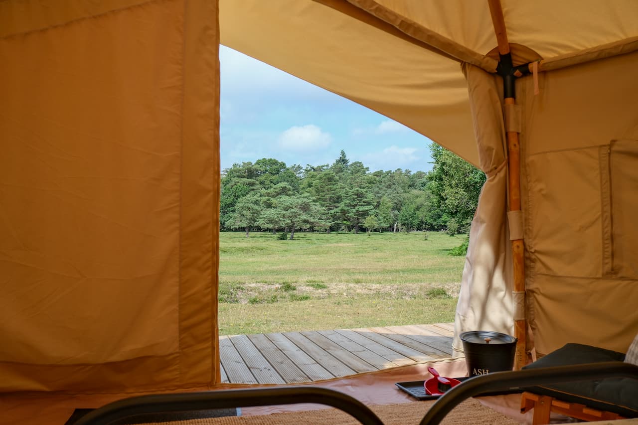 View from inside a Burt glamping tent at Ashurst Campsite looking out across open New Forest heathland