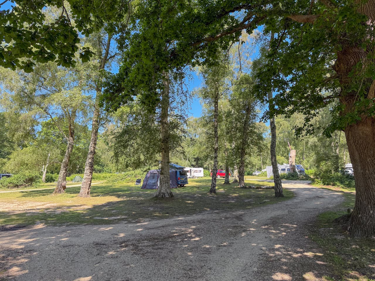 hollands-wood-campsite-camping-in-the-new-forest