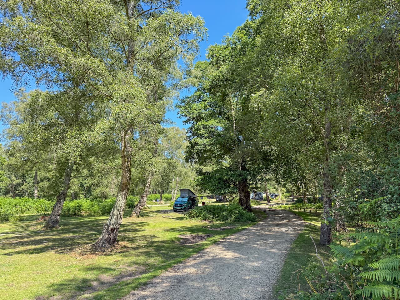 hollands-wood-campsite-camping-in-the-new-forest