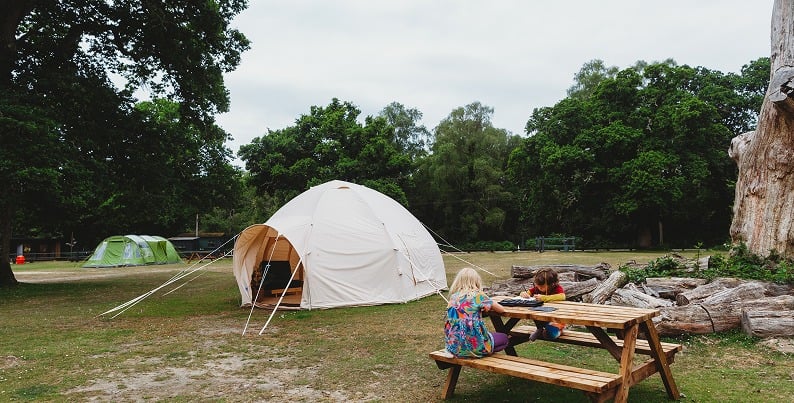 Hollands Wood Campsite